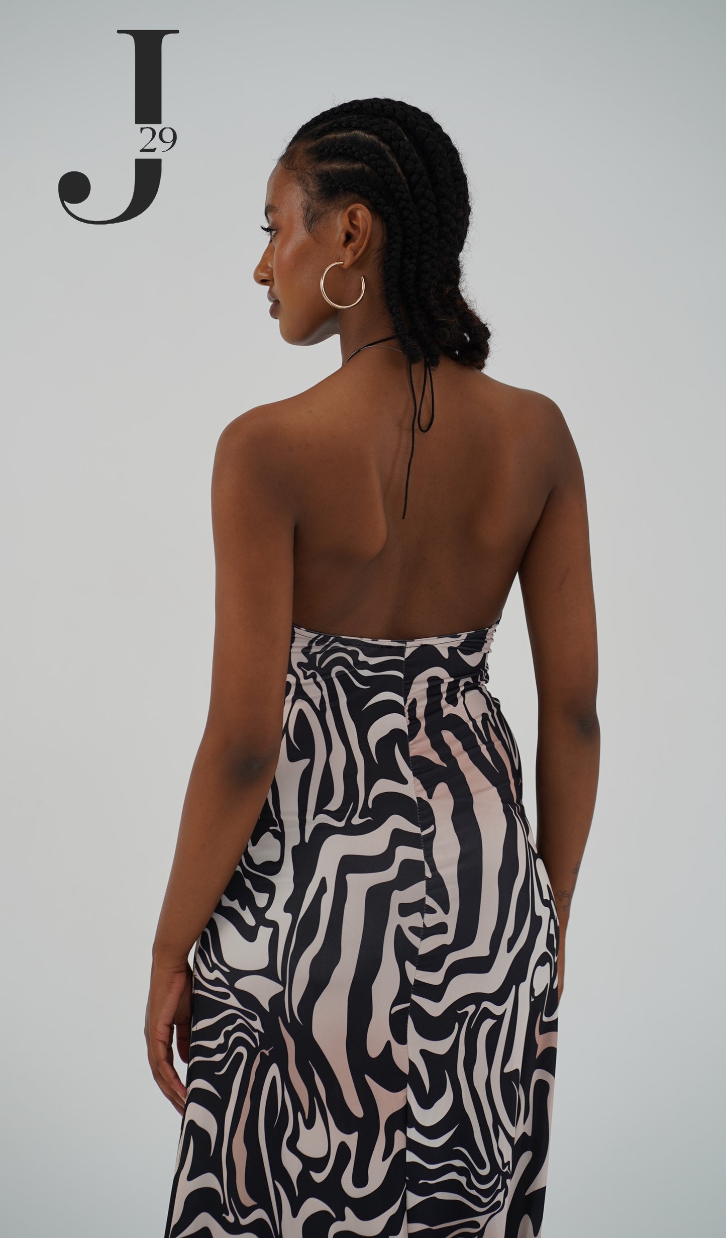 Zebra Dress